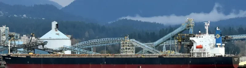 KONA TRADER Bulk Carrier IMO 9374208 photo 10
