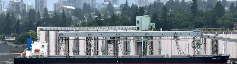 ES SAKURA Bulk Carrier IMO 9374210