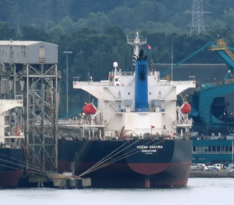 ES SAKURA Bulk Carrier IMO 9374210 photo 2