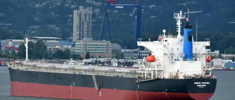 ES SAKURA Bulk Carrier IMO 9374210 photo 3