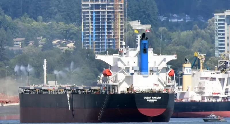 ES SAKURA Bulk Carrier IMO 9374210 photo 9
