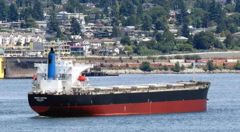 ES SAKURA Bulk Carrier IMO 9374210 photo 10