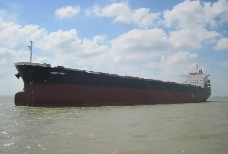 BLUE CHIP Bulk Carrier IMO 9374222