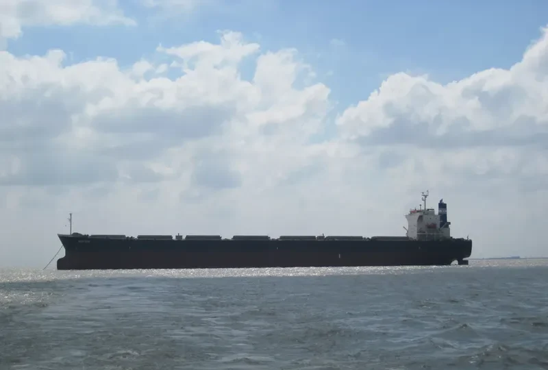 BLUE CHIP Bulk Carrier IMO 9374222 photo 2
