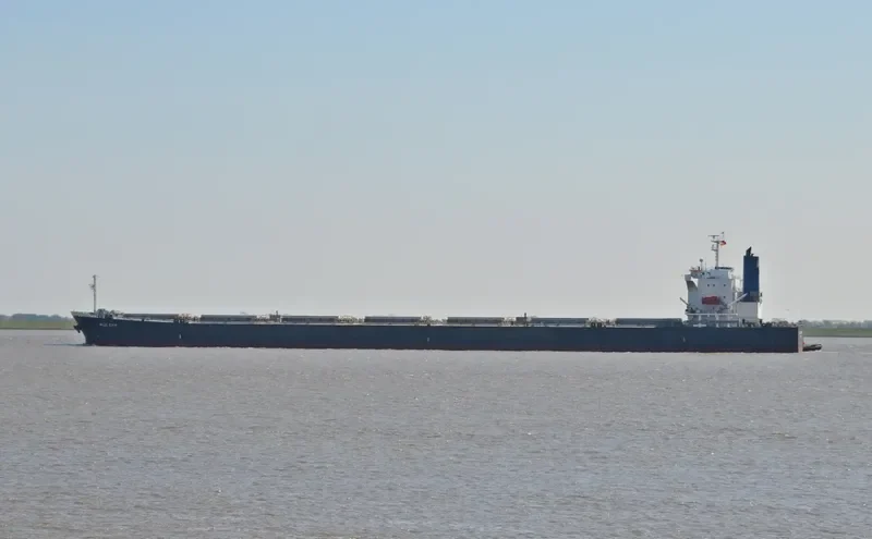 BLUE CHIP Bulk Carrier IMO 9374222 photo 7