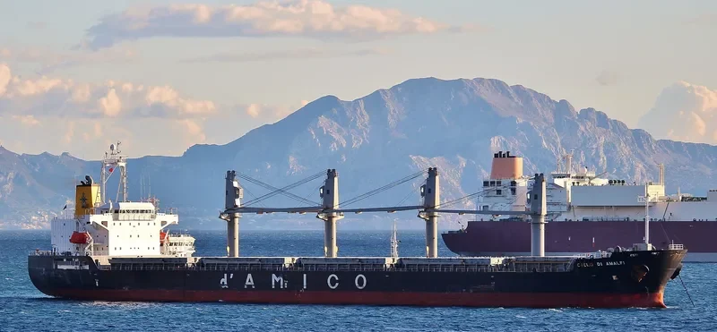 HTK DISCOVERY Bulk Carrier IMO 9374349 photo 6