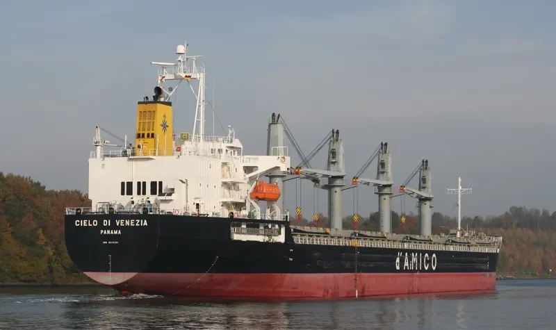 ATLANTIS FORTUNE General Cargo IMO 9374351 photo 5