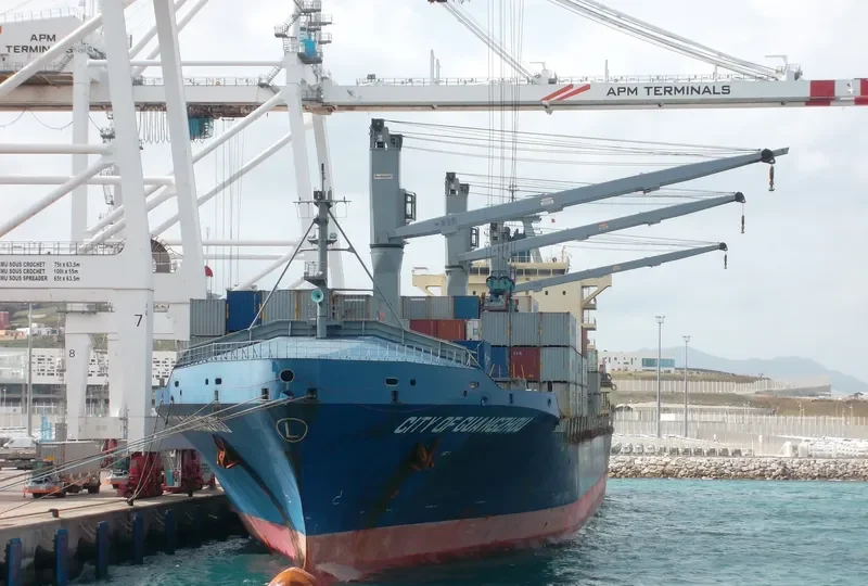 AS PETULIA Container Ship IMO 9374454 photo 6