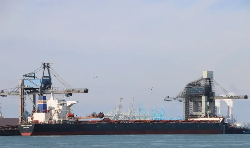 UNIQUE CARRIER Bulk Carrier IMO 9374832 photo 5