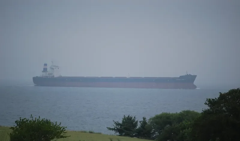 UNIQUE CARRIER Bulk Carrier IMO 9374832 photo 6