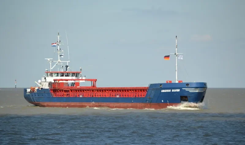 AMADEUS SILVER General Cargo IMO 9374909 photo 8