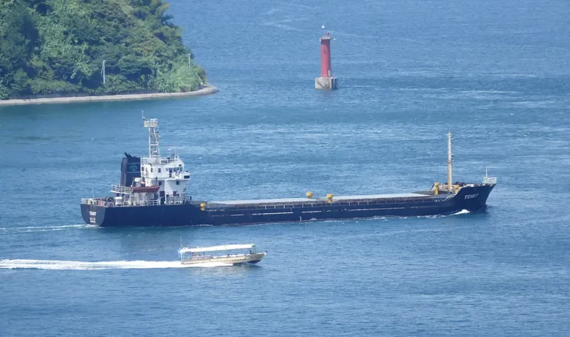 TEMIT General Cargo IMO 9374947 photo 7