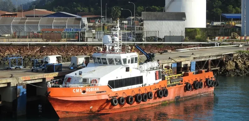 CMS ROBIAH General Cargo IMO 9375020