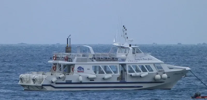 FOU DE BASSAN Passenger Ship IMO 9375484