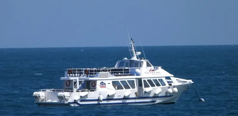 FOU DE BASSAN Passenger Ship IMO 9375484 photo 2