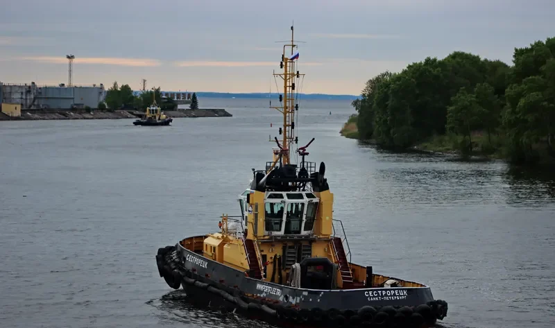 SESTRORETSK General Cargo IMO 9375563