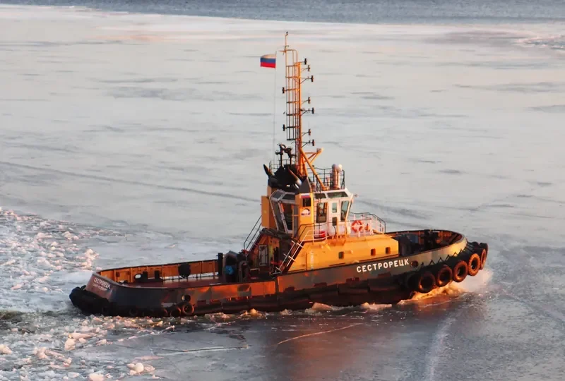 SESTRORETSK General Cargo IMO 9375563 photo 7