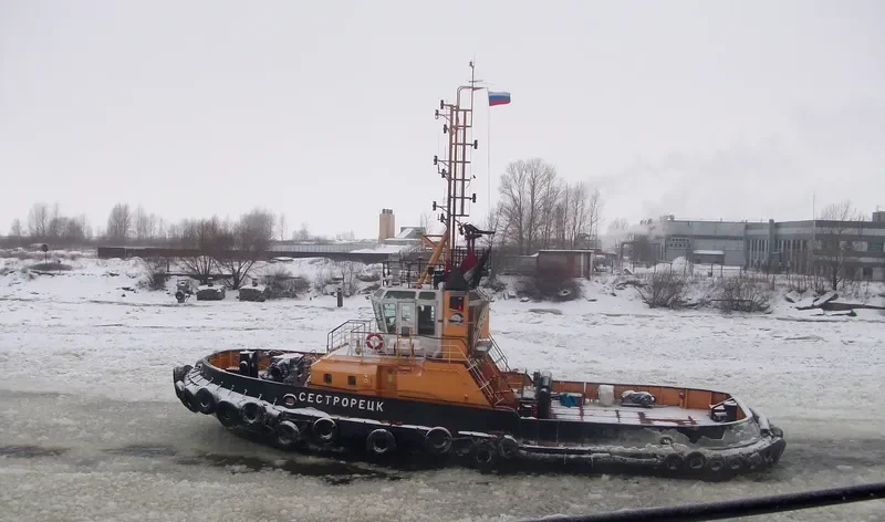 SESTRORETSK General Cargo IMO 9375563 photo 9