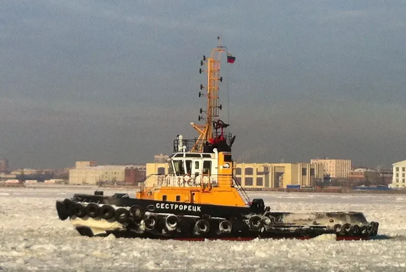 SESTRORETSK General Cargo IMO 9375563 photo 10