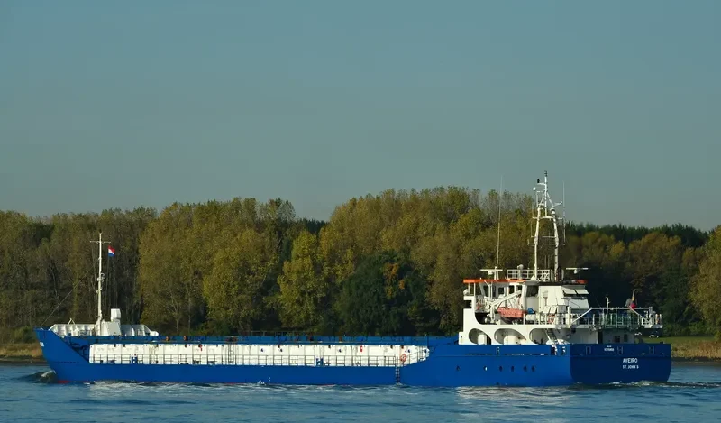 WILSON AVEIRO General Cargo IMO 9375850 photo 7