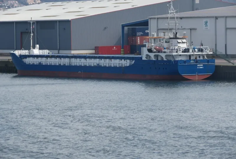 WILSON AVEIRO General Cargo IMO 9375850 photo 9