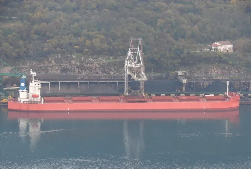 THALASSIC Bulk Carrier IMO 9375927 photo 10