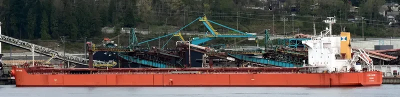 ULTRA PANTHER Bulk Carrier IMO 9375939