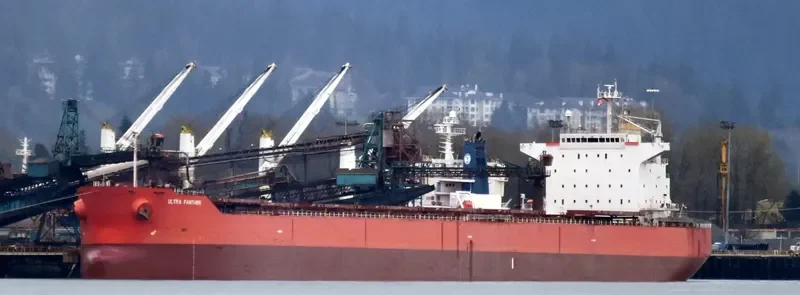 ULTRA PANTHER Bulk Carrier IMO 9375939 photo 3