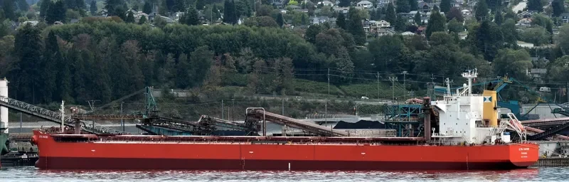 ULTRA PANTHER Bulk Carrier IMO 9375939 photo 6
