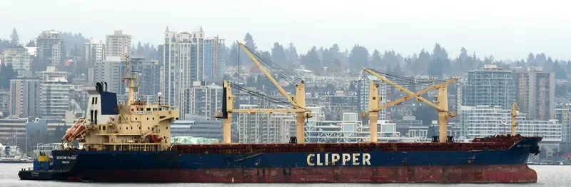 SEASTAR TRADER Bulk Carrier IMO 9375953 photo 3