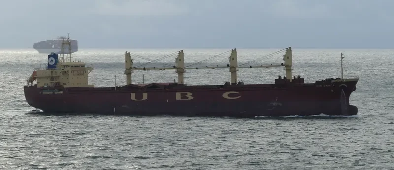 UBC SANTOS Bulk Carrier IMO 9376000 photo 3
