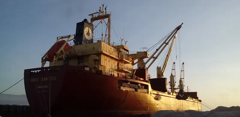 UBC SANTOS Bulk Carrier IMO 9376000 photo 6