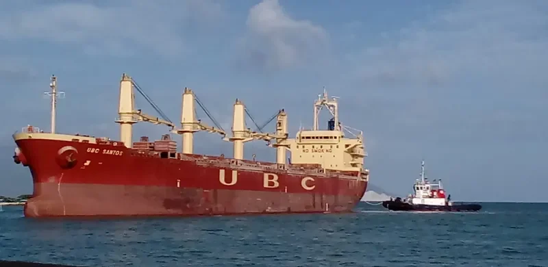 UBC SANTOS Bulk Carrier IMO 9376000 photo 7