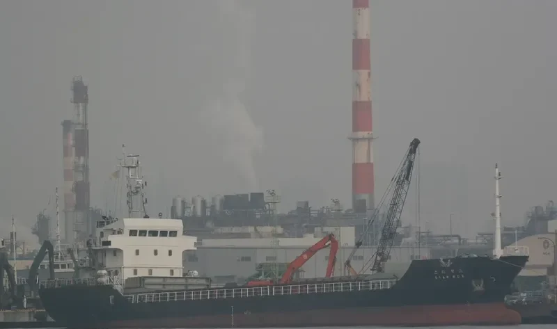 STAR REX Bulk Carrier IMO 9376177 photo 4