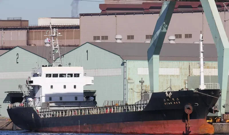 STAR REX Bulk Carrier IMO 9376177 photo 5