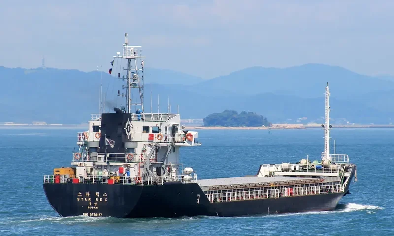 STAR REX Bulk Carrier IMO 9376177 photo 7