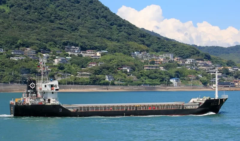 STAR REX Bulk Carrier IMO 9376177 photo 8
