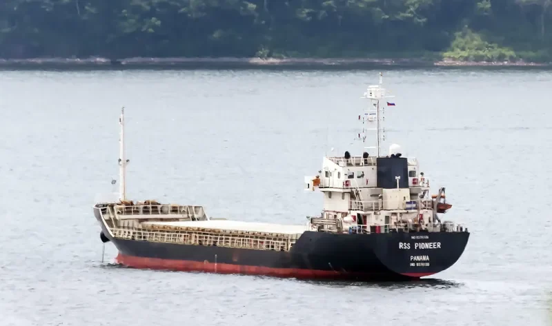 DAHLIA Bulk Carrier IMO 9376189 photo 7