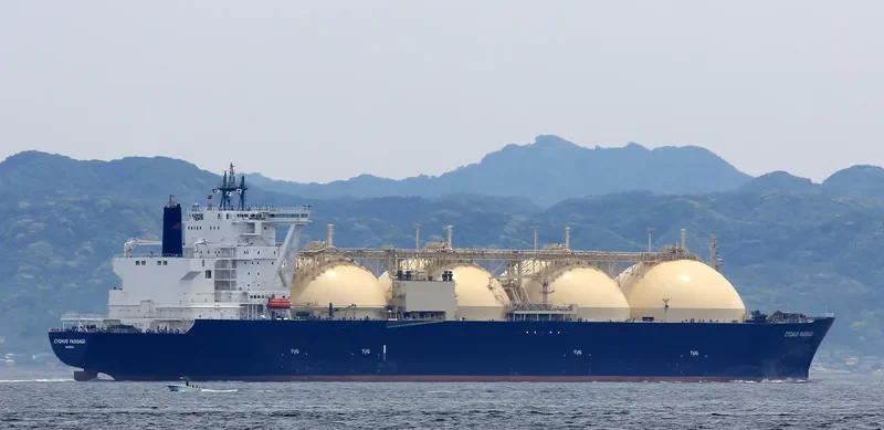 CYGNUS PASSAGE General Cargo IMO 9376294 photo 5