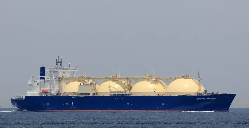 CYGNUS PASSAGE General Cargo IMO 9376294 photo 6