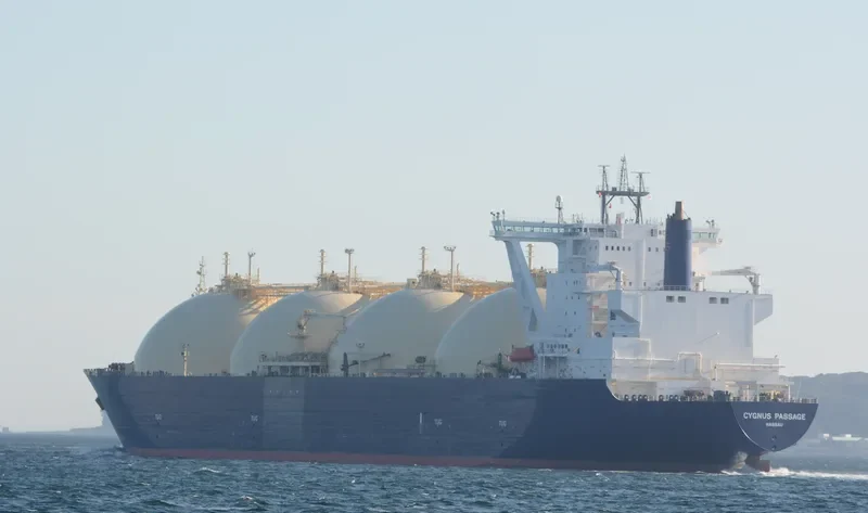 CYGNUS PASSAGE General Cargo IMO 9376294 photo 8