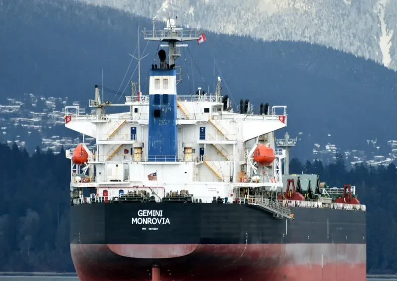 GEMINI Bulk Carrier IMO 9376309 photo 6