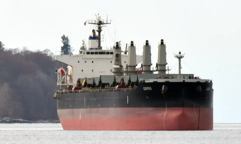 GEMINI Bulk Carrier IMO 9376309 photo 8