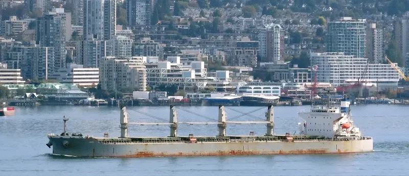 GEMINI Bulk Carrier IMO 9376309 photo 9