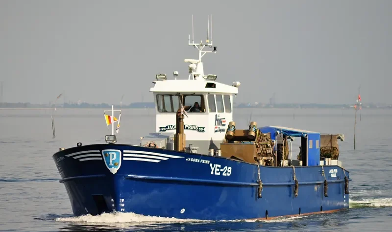 JACOBA PRINS General Cargo IMO 9377157