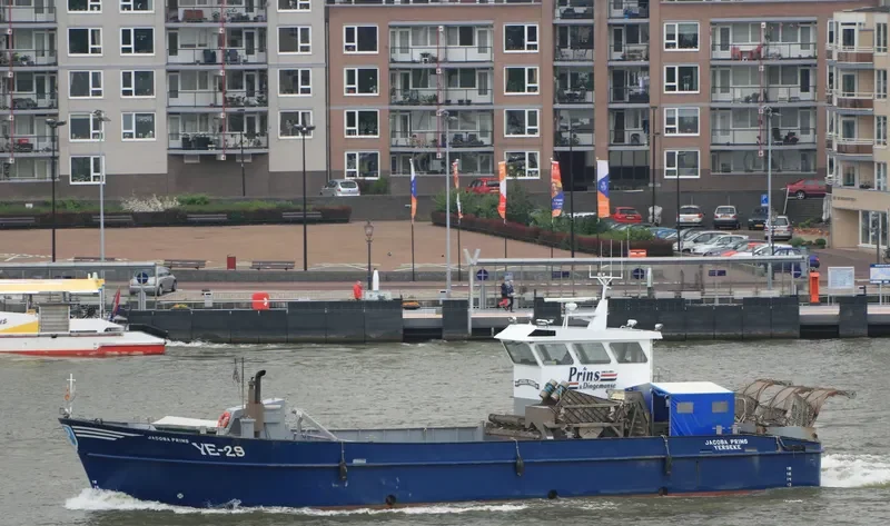 JACOBA PRINS General Cargo IMO 9377157 photo 3