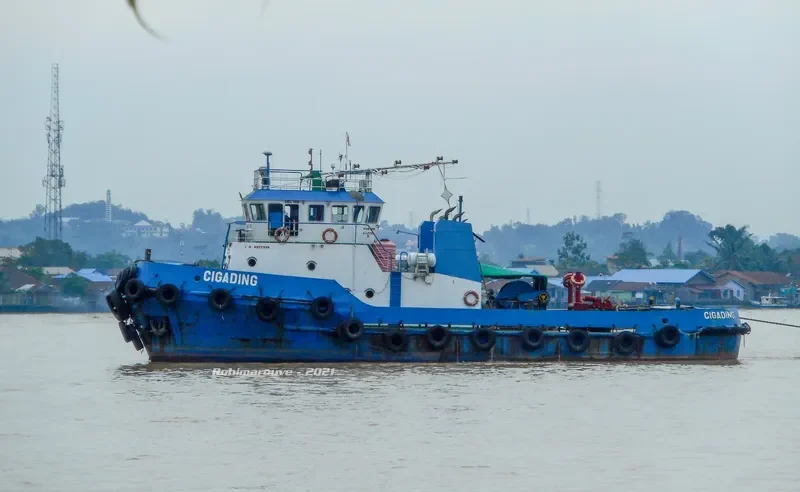 CIGADING General Cargo IMO 9377339