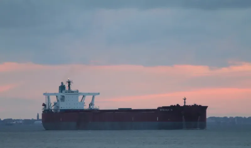 STEVEN N Bulk Carrier IMO 9377406 photo 8