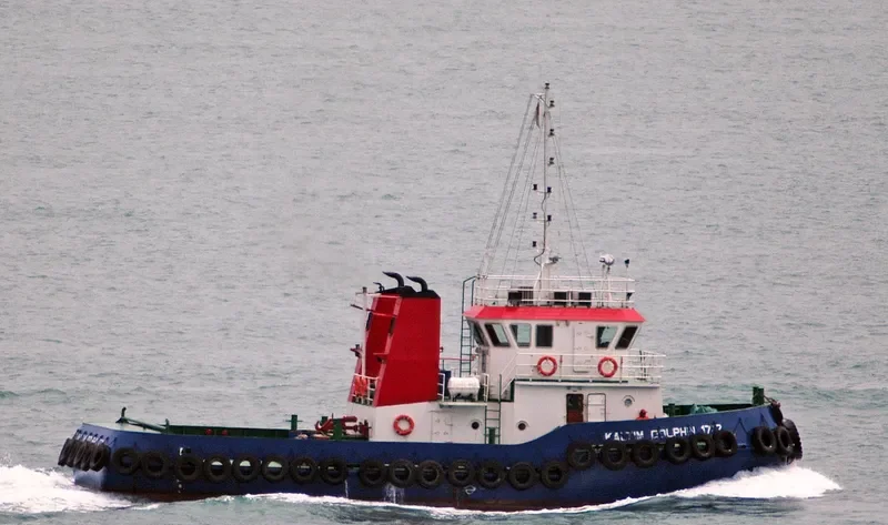 KALTIM DOLPHIN 17 12 General Cargo IMO 9377597