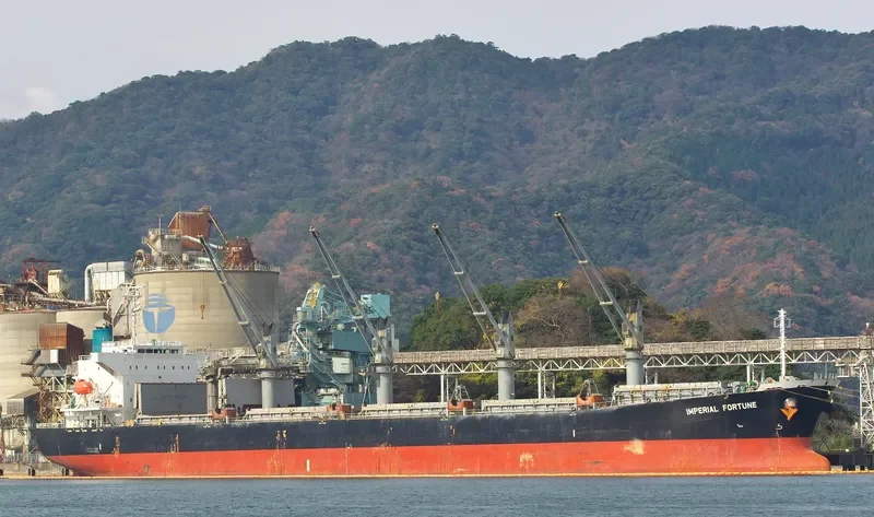 IMPERIAL FORTUNE Bulk Carrier IMO 9377676